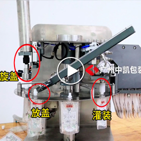 吸嘴自立袋灌裝機(jī) 果汁中醫(yī)藥液灌裝旋蓋一體機(jī)